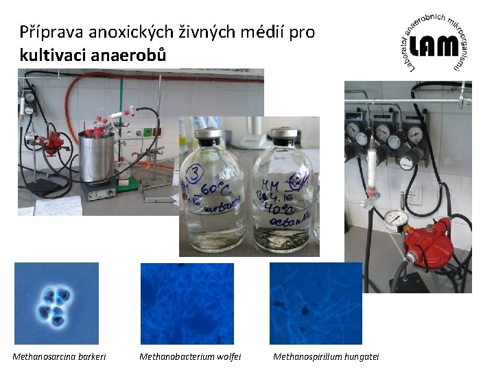 Příprava anoxických živných médií pro kultivaci anaerobů Methanosarcina barkeri Methanobacterium wolfei Methanospirillum hungatei 