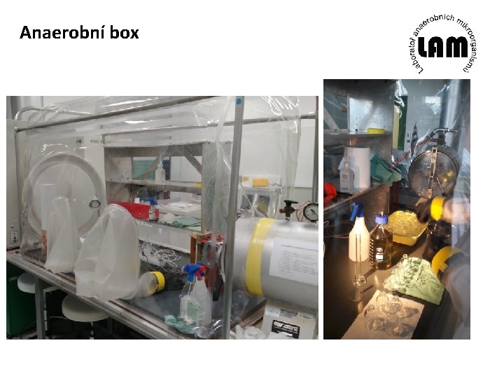 Anaerobní box 