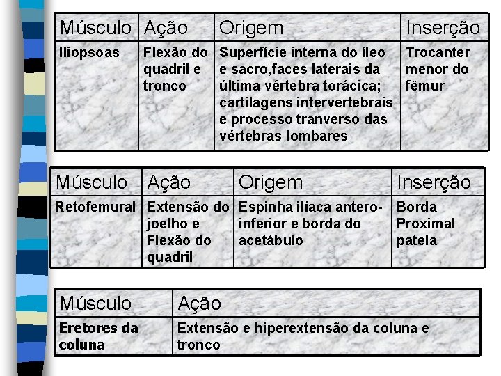 Músculo Ação Iliopsoas Origem Inserção Flexão do Superfície interna do íleo Trocanter quadril e