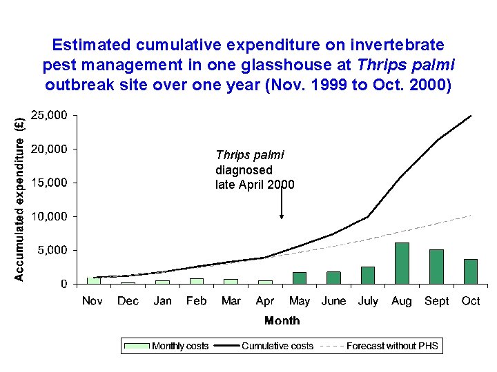 Estimated cumulative expenditure on invertebrate pest management in one glasshouse at Thrips palmi outbreak