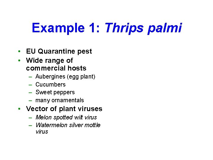 Example 1: Thrips palmi • EU Quarantine pest • Wide range of commercial hosts