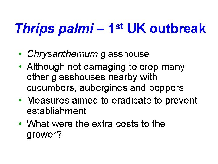 Thrips palmi – 1 st UK outbreak • Chrysanthemum glasshouse • Although not damaging