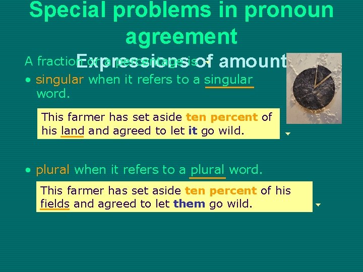 Special problems in pronoun agreement A fraction or a percentage isof Expressions amount •