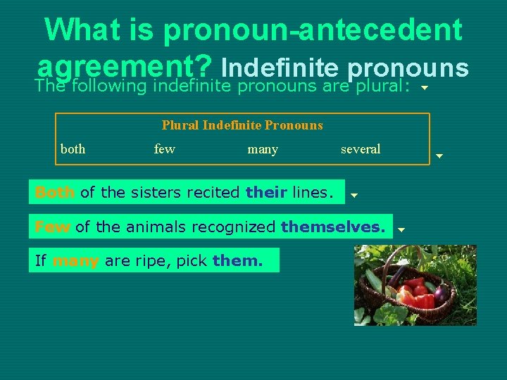 What is pronoun-antecedent agreement? Indefinite pronouns The following indefinite pronouns are plural: Plural Indefinite