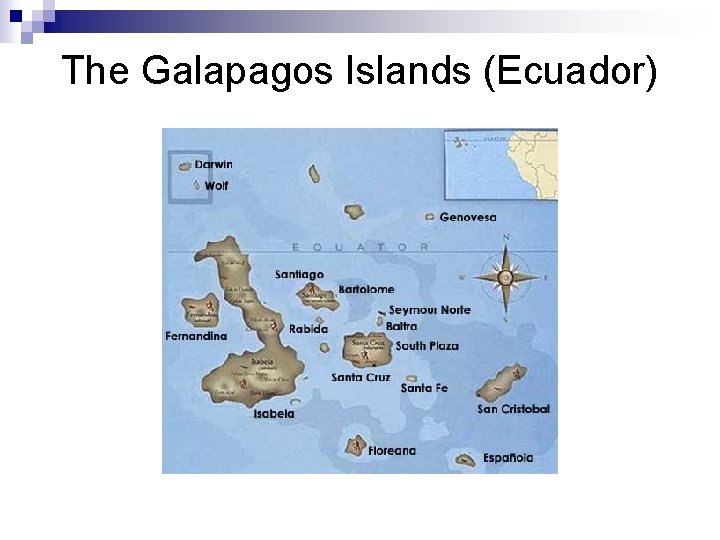 The Galapagos Islands (Ecuador) 