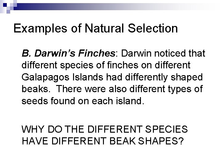 Examples of Natural Selection B. Darwin’s Finches: Darwin noticed that different species of finches