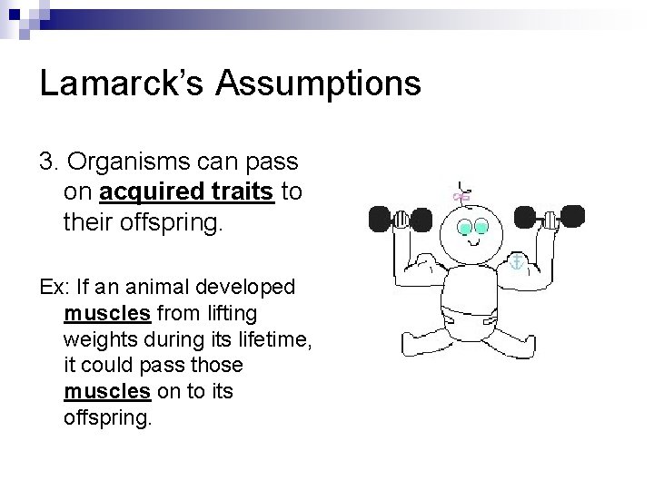 Lamarck’s Assumptions 3. Organisms can pass on acquired traits to their offspring. Ex: If