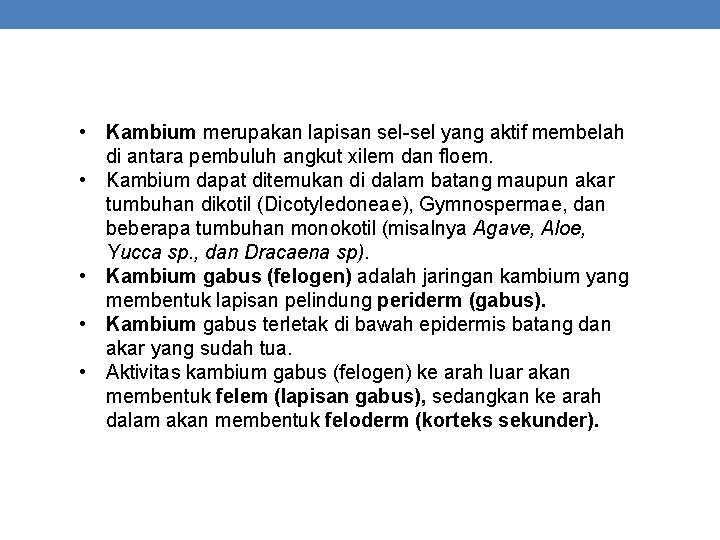  • Kambium merupakan lapisan sel-sel yang aktif membelah di antara pembuluh angkut xilem