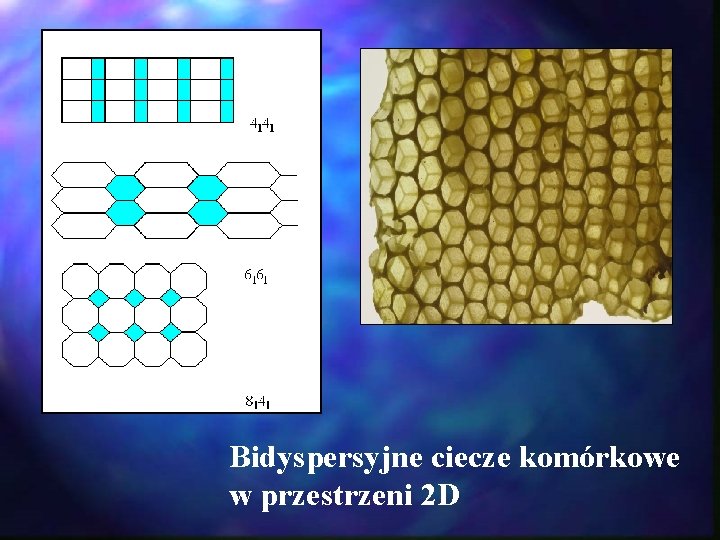 Bidyspersyjne ciecze komórkowe w przestrzeni 2 D Bidyspersyjne ciecze komórkowe w przestrzeni 2 D