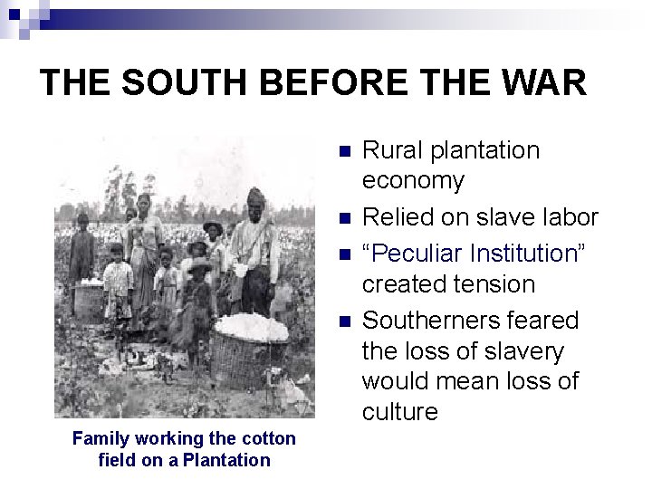 THE SOUTH BEFORE THE WAR n n Family working the cotton field on a