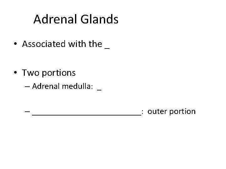 Adrenal Glands • Associated with the _ • Two portions – Adrenal medulla: _