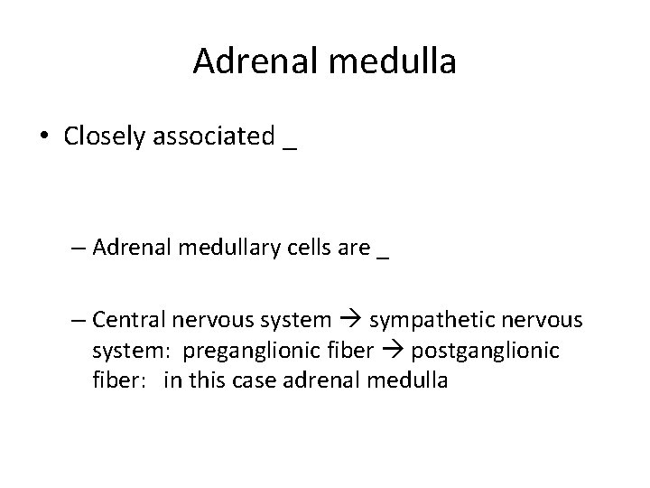 Adrenal medulla • Closely associated _ – Adrenal medullary cells are _ – Central