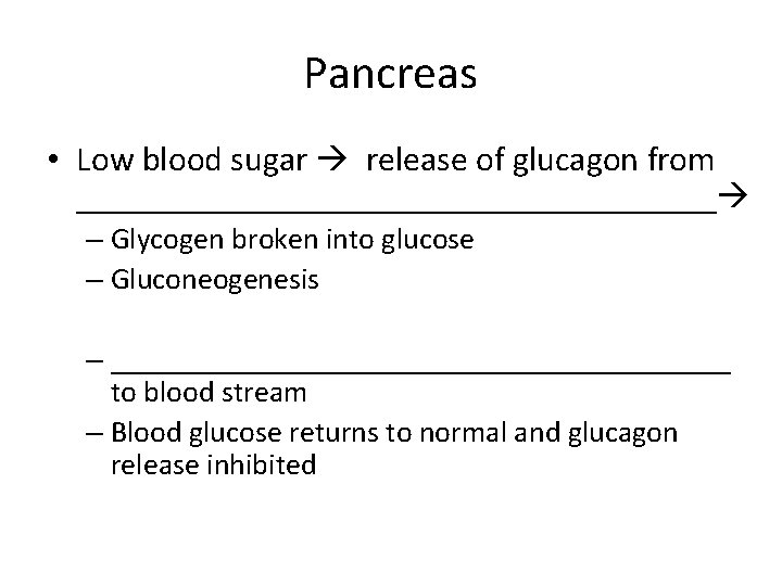 Pancreas • Low blood sugar release of glucagon from ___________________ – Glycogen broken into