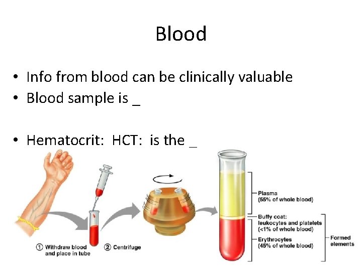 Blood • Info from blood can be clinically valuable • Blood sample is _