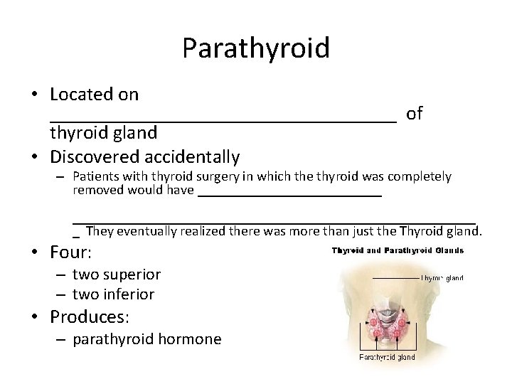 Parathyroid • Located on __________________ of thyroid gland • Discovered accidentally – Patients with