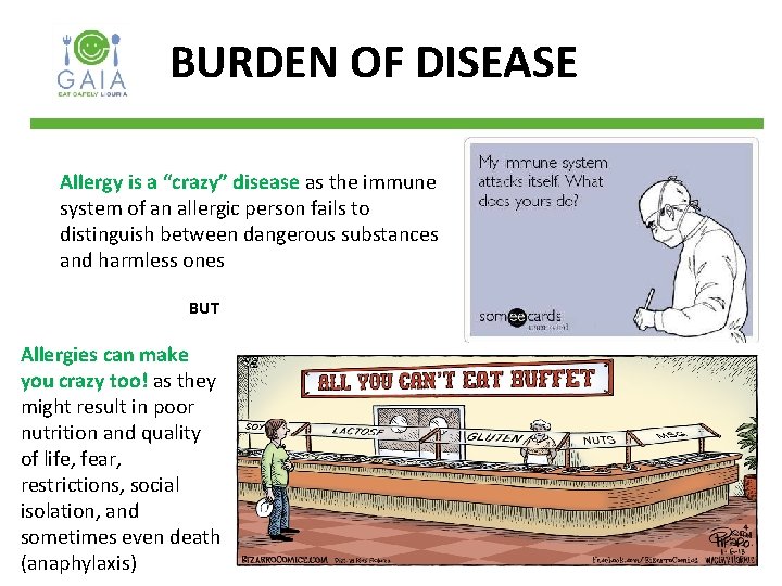 BURDEN OF DISEASE Allergy is a “crazy” disease as the immune system of an