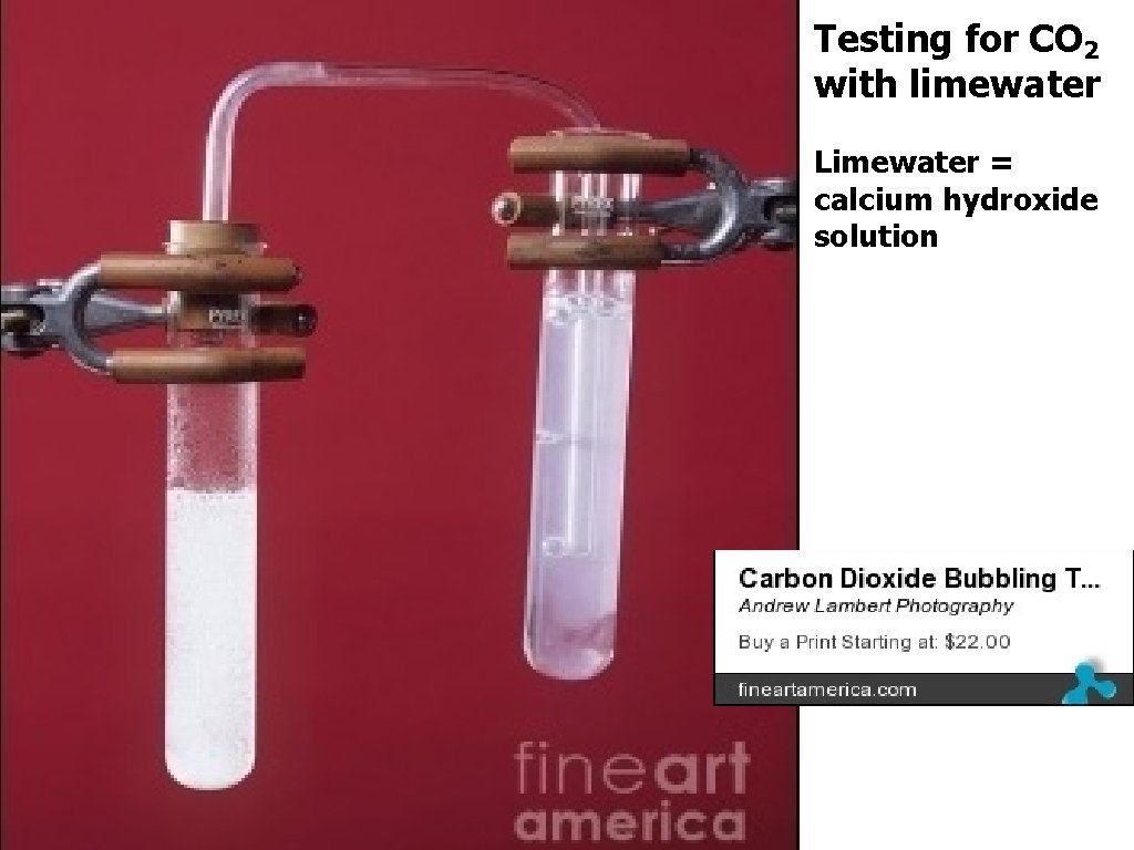 Testing for CO 2 with limewater Limewater = calcium hydroxide solution Testing for CO