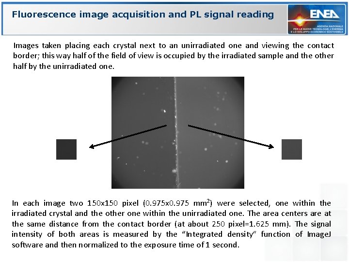 Fluorescence image acquisition and PL signal reading Images taken placing each crystal next to