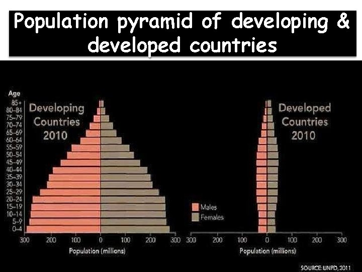 Population pyramid of developing & developed countries 