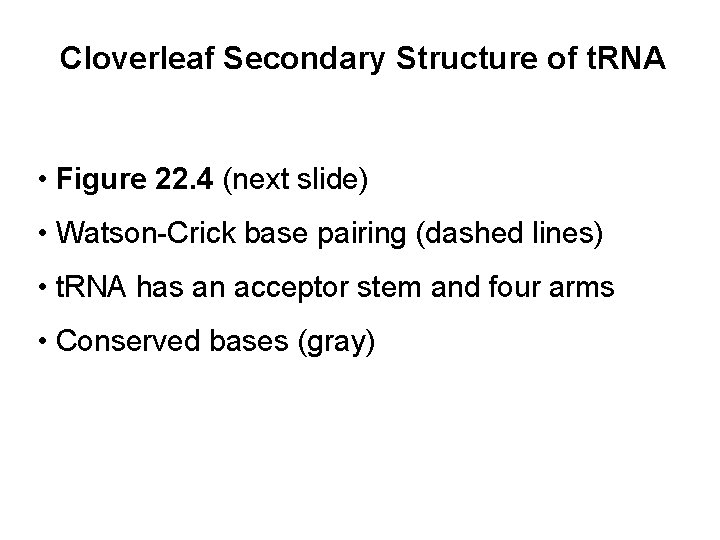 Cloverleaf Secondary Structure of t. RNA • Figure 22. 4 (next slide) • Watson-Crick