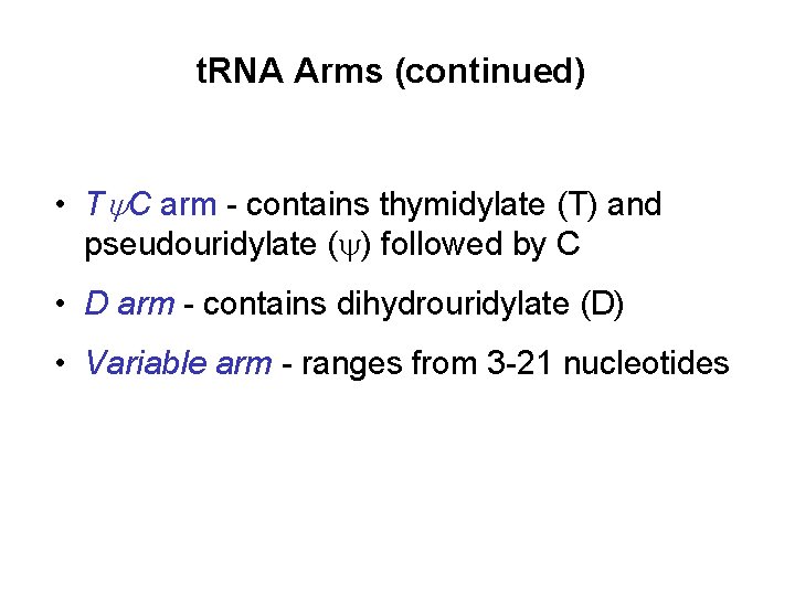 t. RNA Arms (continued) • Ty. C arm - contains thymidylate (T) and pseudouridylate