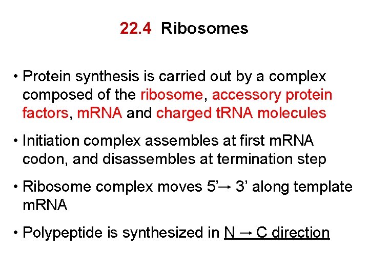 22. 4 Ribosomes • Protein synthesis is carried out by a complex composed of