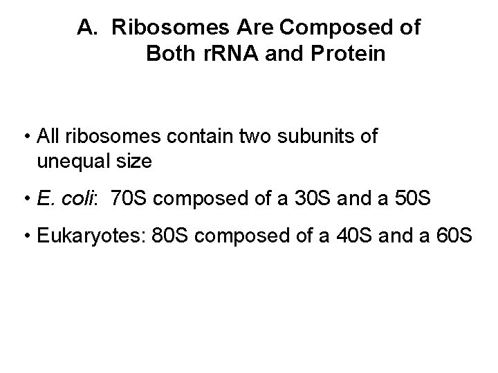 A. Ribosomes Are Composed of Both r. RNA and Protein • All ribosomes contain