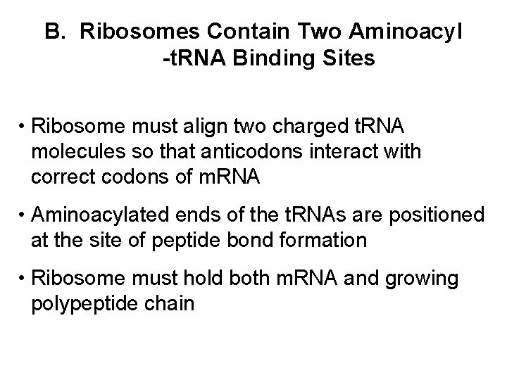 B. Ribosomes Contain Two Aminoacyl -t. RNA Binding Sites • Ribosome must align two