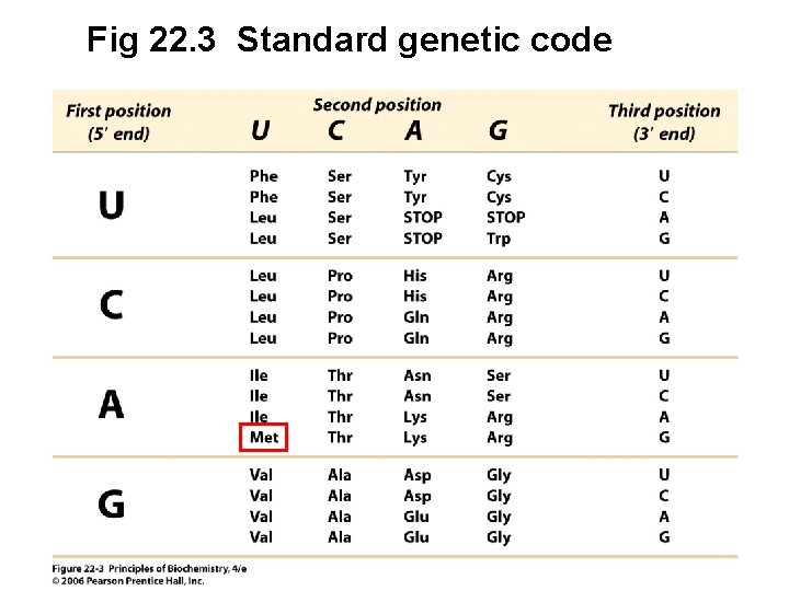Fig 22. 3 Standard genetic code 