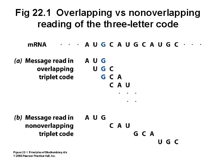 Fig 22. 1 Overlapping vs nonoverlapping reading of the three-letter code 