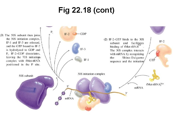 Fig 22. 18 (cont) 