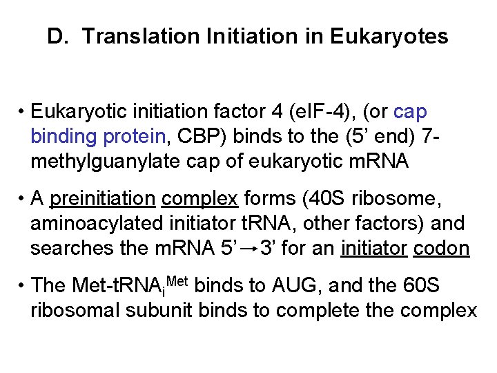 D. Translation Initiation in Eukaryotes • Eukaryotic initiation factor 4 (e. IF-4), (or cap