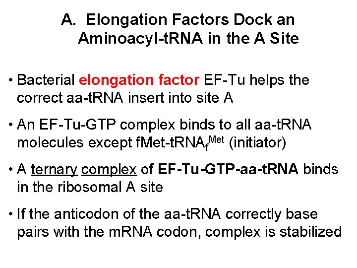 A. Elongation Factors Dock an Aminoacyl-t. RNA in the A Site • Bacterial elongation