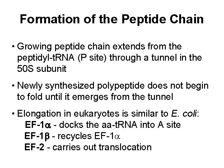 Formation of the Peptide Chain • Growing peptide chain extends from the peptidyl-t. RNA