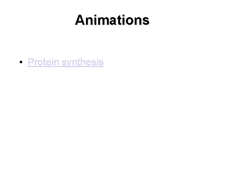 Animations • Protein synthesis 