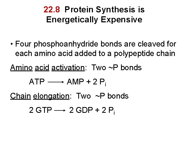 22. 8 Protein Synthesis is Energetically Expensive • Four phosphoanhydride bonds are cleaved for