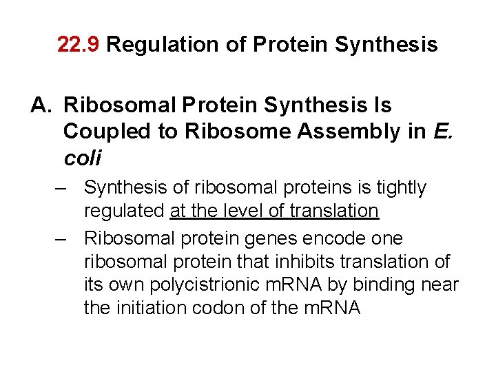 22. 9 Regulation of Protein Synthesis A. Ribosomal Protein Synthesis Is Coupled to Ribosome
