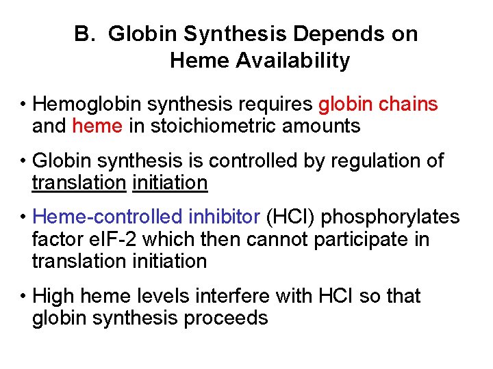 B. Globin Synthesis Depends on Heme Availability • Hemoglobin synthesis requires globin chains and