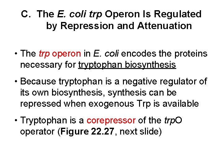 C. The E. coli trp Operon Is Regulated by Repression and Attenuation • The