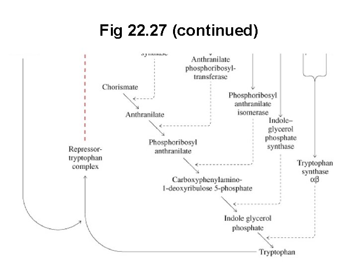 Fig 22. 27 (continued) 
