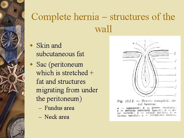 Complete hernia – structures of the wall w Skin and subcutaneous fat w Sac