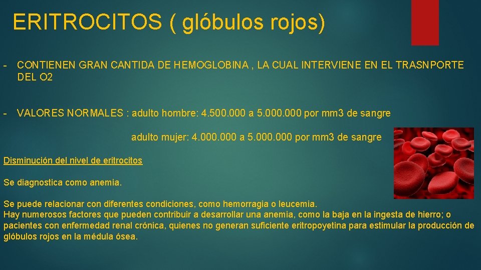 ERITROCITOS ( glóbulos rojos) - CONTIENEN GRAN CANTIDA DE HEMOGLOBINA , LA CUAL INTERVIENE