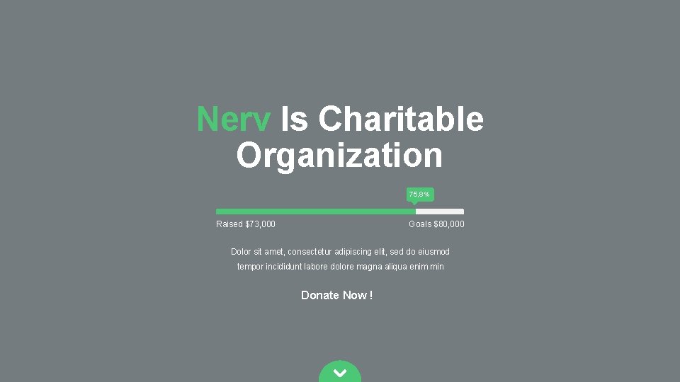Nerv Is Charitable Organization 75, 8% Raised $73, 000 Goals $80, 000 Dolor sit