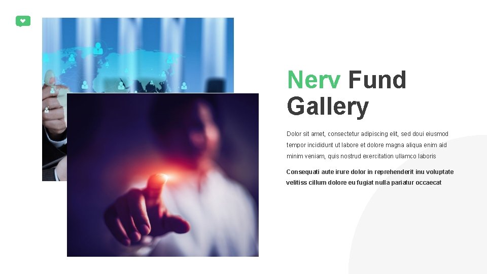 Nerv Fund Gallery Dolor sit amet, consectetur adipiscing elit, sed doui eiusmod tempor incididunt