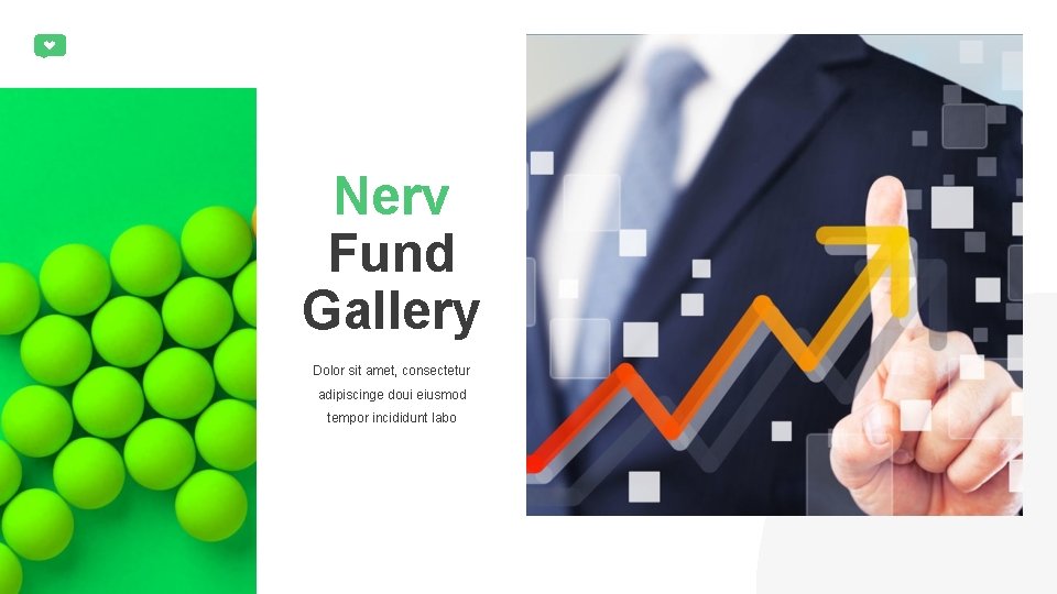 Nerv Fund Gallery Dolor sit amet, consectetur adipiscinge doui eiusmod tempor incididunt labo 