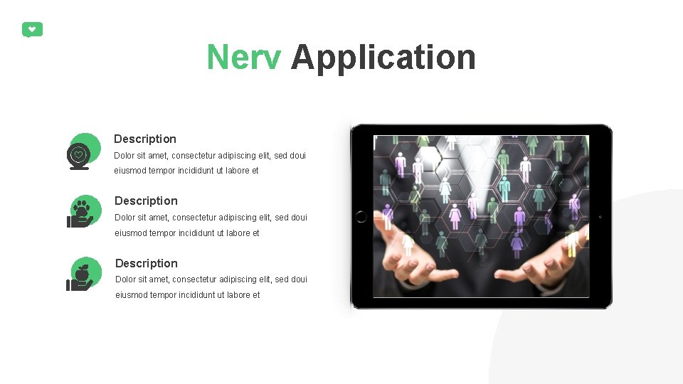 Nerv Application Description Dolor sit amet, consectetur adipiscing elit, sed doui eiusmod tempor incididunt