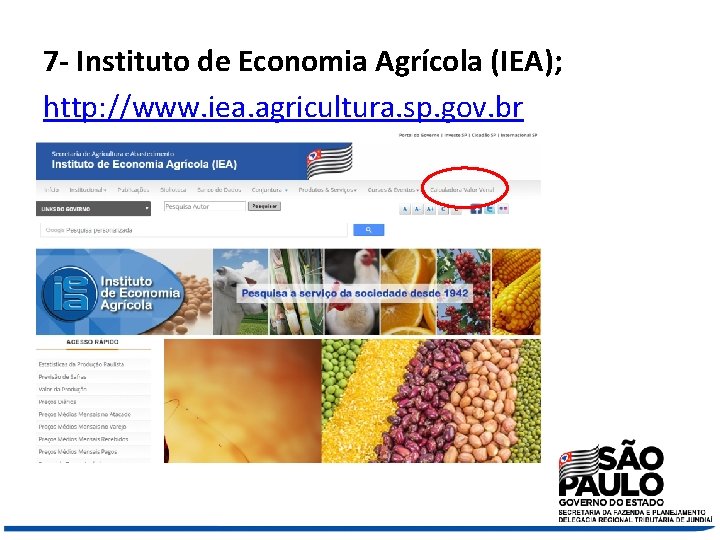 7 - Instituto de Economia Agrícola (IEA); http: //www. iea. agricultura. sp. gov. br