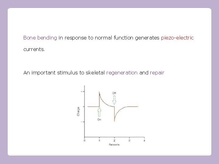 Bone bending in response to normal function generates piezo-electric currents. An important stimulus to