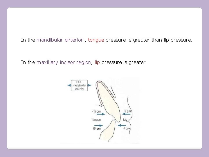 In the mandibular anterior , tongue pressure is greater than lip pressure. In the