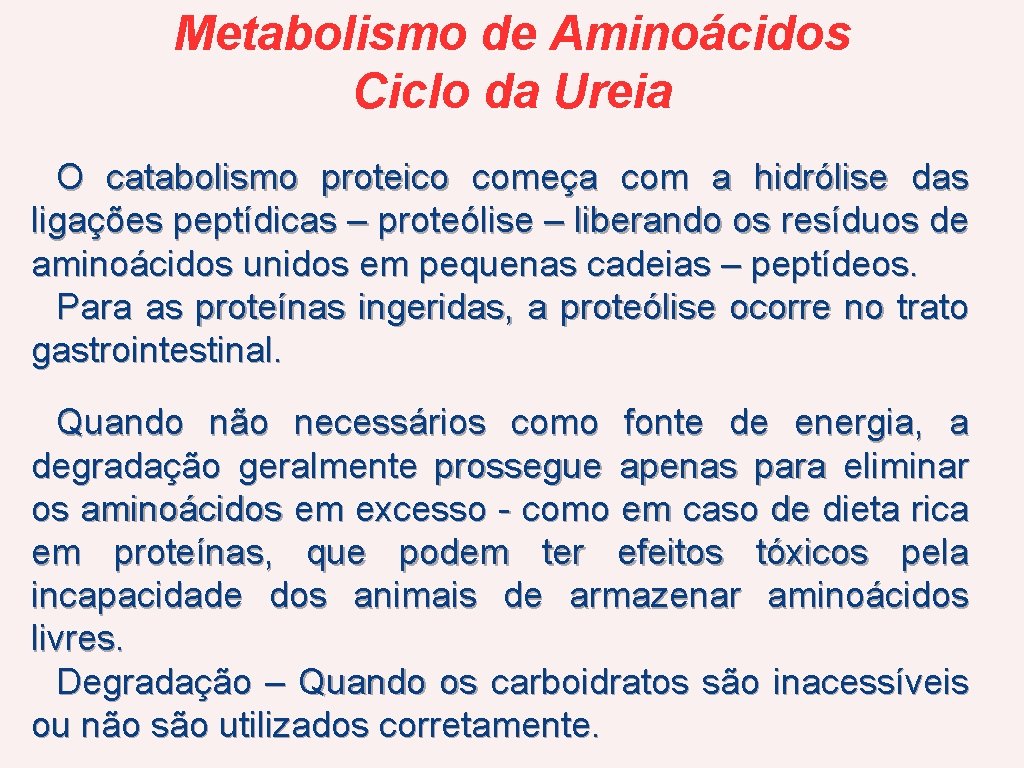 Metabolismo de Aminoácidos Ciclo da Ureia O catabolismo proteico começa com a hidrólise das